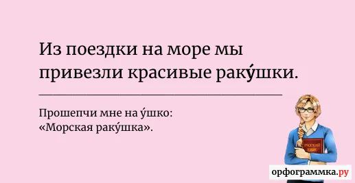 ракушка-ударение