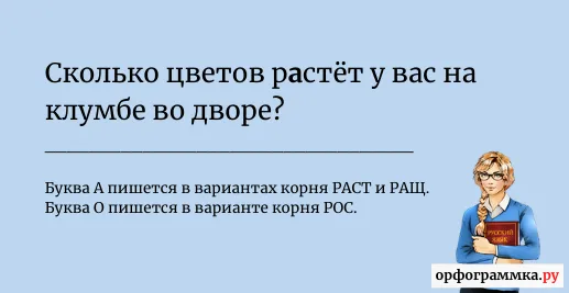 рости-расти