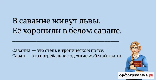 саванна-савана