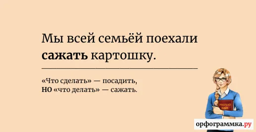 сажать-картошку