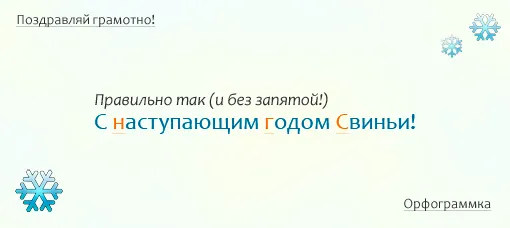 С наступающим годом Свиньи!