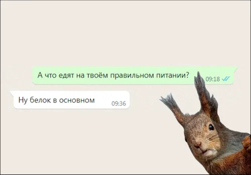 Ударение в слове белок