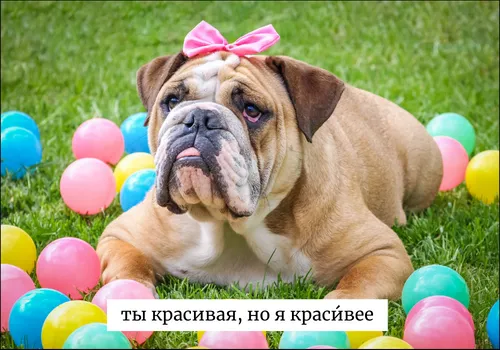 Ударение в слове красивее