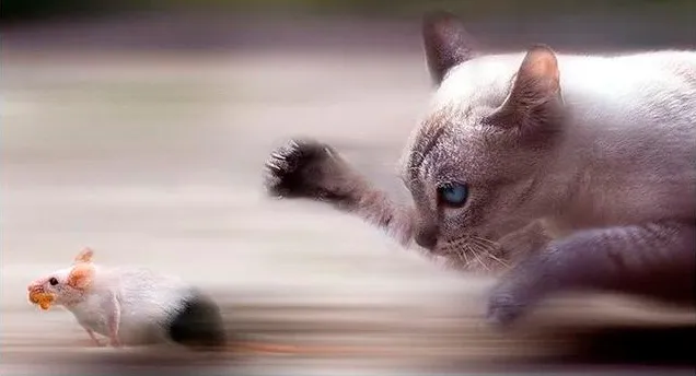 Ускоряемся