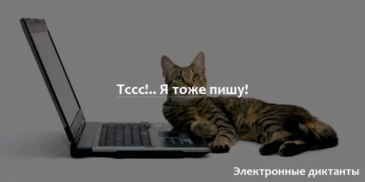 Электронные диктанты по русскому. Бесплатно