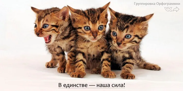 El pueblo unido jamás será vencido! В единстве — наша сила!
