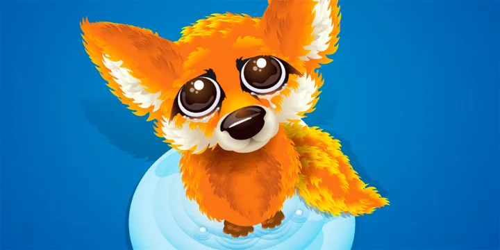 Mozilla Firefox