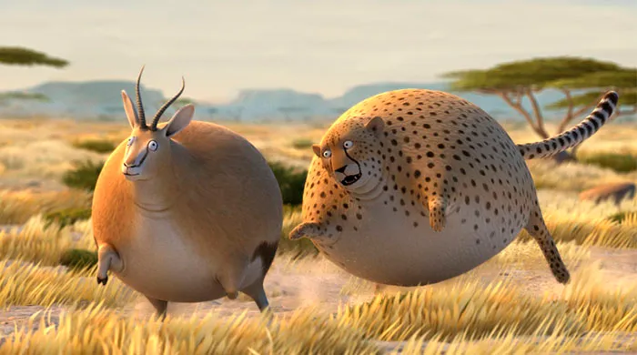 safari